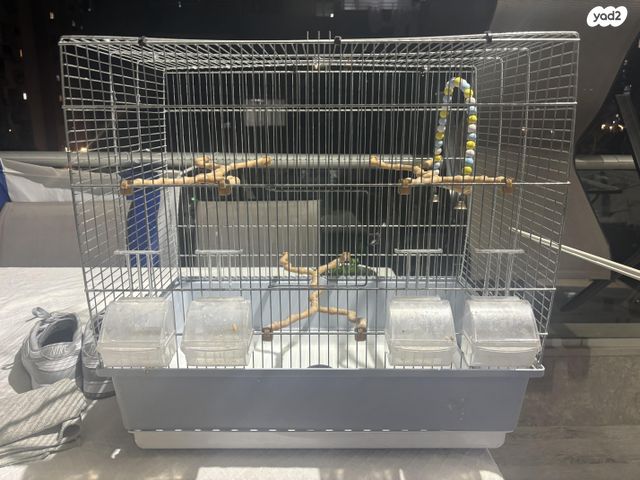 תמונת מודעה - חיות מחמד