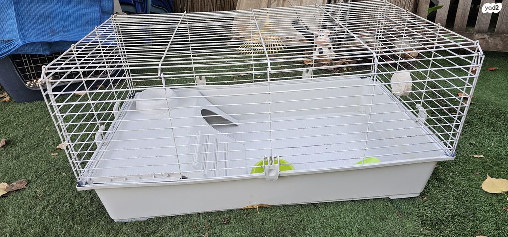 תמונת מודעה - חיות מחמד