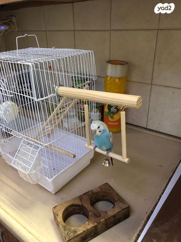 תמונת מודעה - חיות מחמד