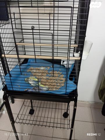 תמונת מודעה - חיות מחמד