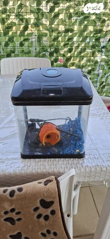 תמונת מודעה - חיות מחמד