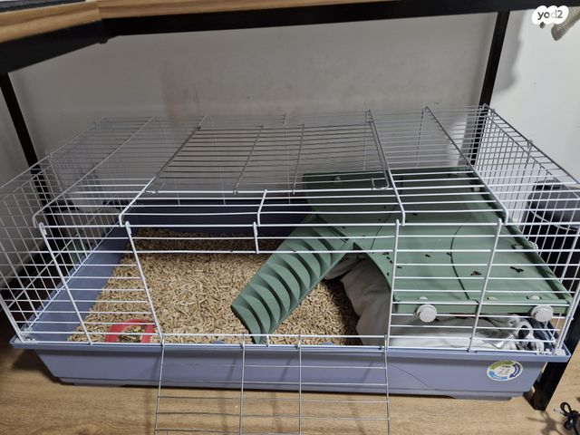 תמונת מודעה - חיות מחמד