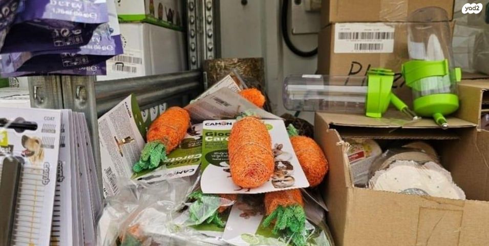 מכרסם ארנב ננסי