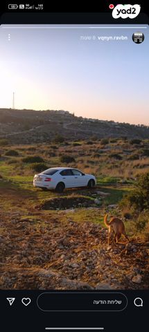 סקודה אוקטביה