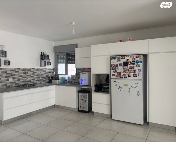 דירה, השחף 3, החותרים, טירת כרמל