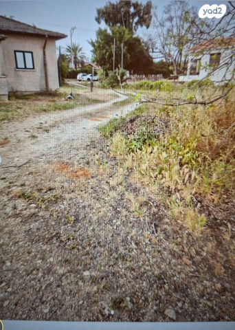 מנחם אבטיחי 119