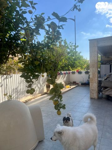 דירת גן, האלמוג 13, נופי סלע, מעלה אדומים