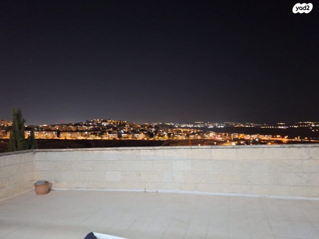 חיים תורן 29