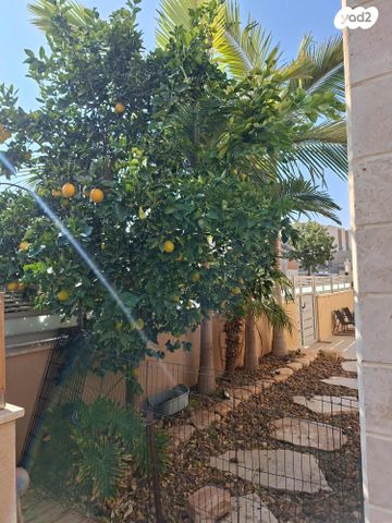 בית פרטי/ קוטג', עפרוני 79, פלח שבע, באר שבע