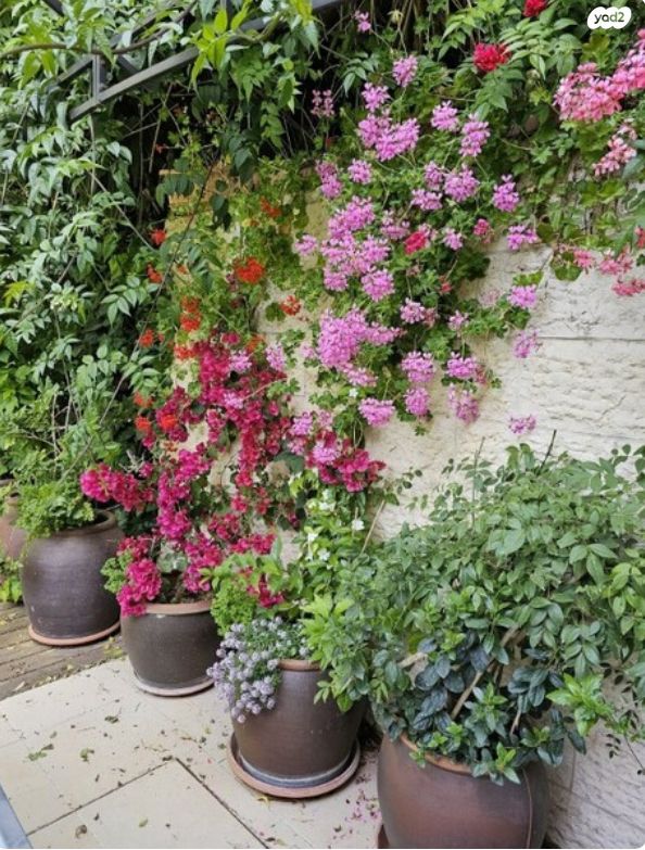 בית פרטי/ קוטג', יהודה בורלא 25, ניות, ירושלים