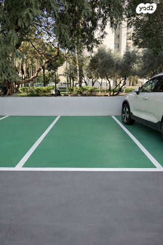 פישמן מיימון 3