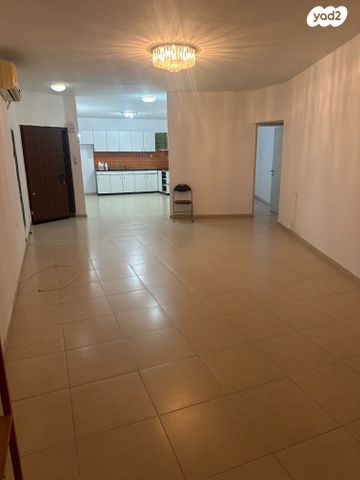 דוד שמעוני 7