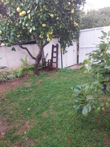 יחידת דיור, החרצית 1, שכונה 9, תל מונד