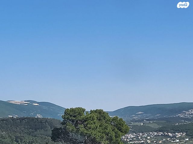 דירה, בן גוריון 60, הסגליות, מעלות תרשיחא