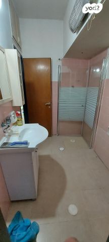 השר שפירא 14