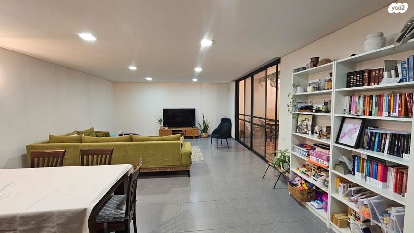 אלכסנדר זייד 20