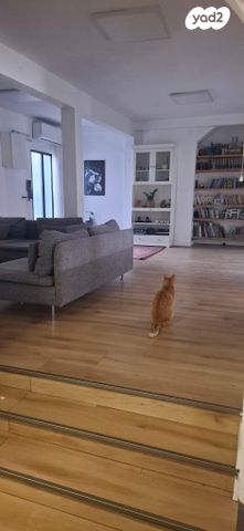 קנאי הגליל 28