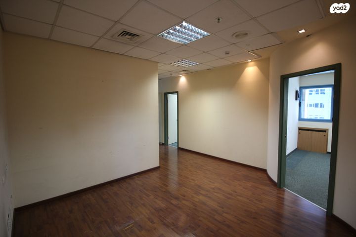 יגאל אלון 65