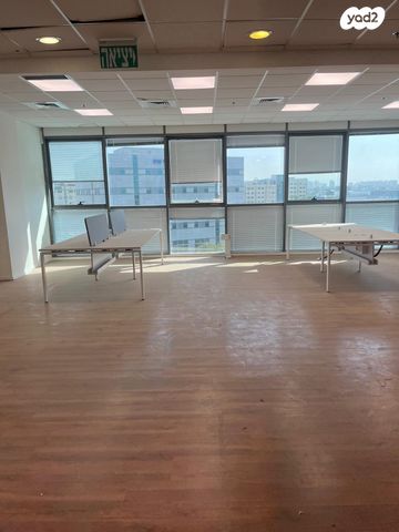 אלי הורוביץ 12