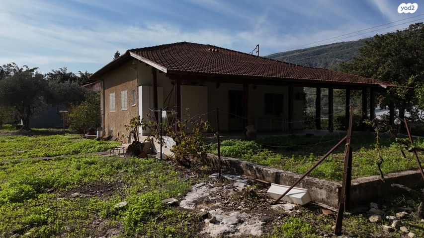 שכונת אלרואי