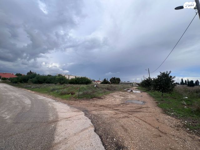 מגרשים, יצחק גרינבוים, נווה חיים, חדרה