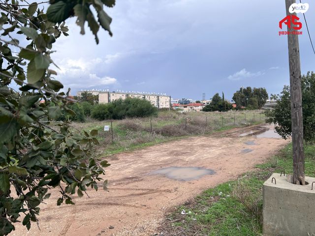 מגרשים, יצחק גרינבוים, נווה חיים, חדרה