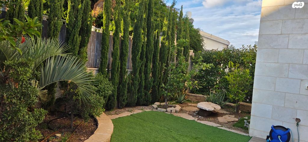 דירת גן, הרב קלישר, זיו, חיפה