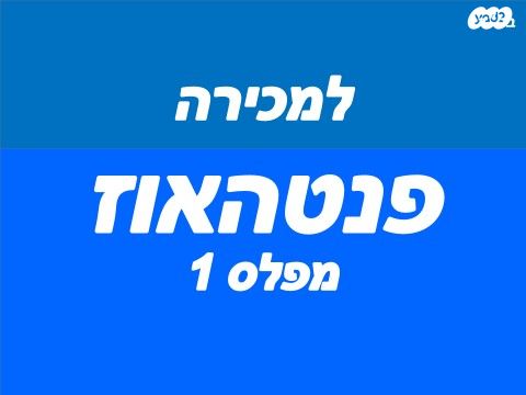 אליעזר בן יהודה 