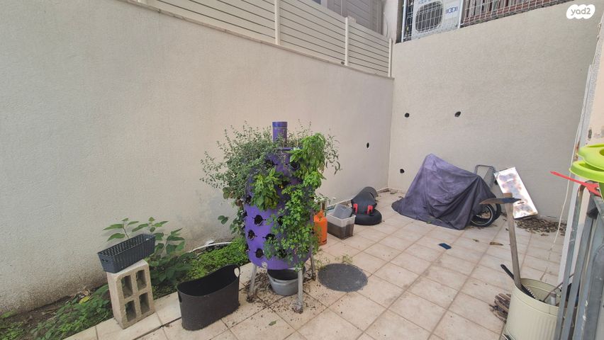 דירת גן, אורנית, אורנית