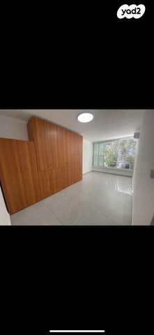 דוד וולפסון 