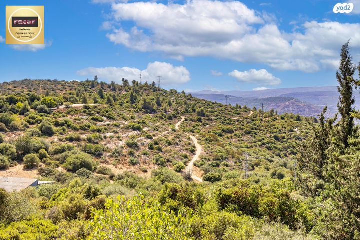 משק חקלאי/ נחלה, דולב 1, רמת רזיאל, רמת רזיאל