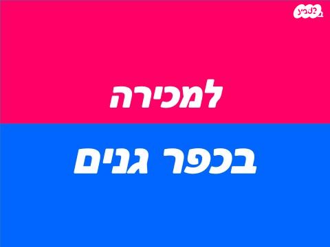 העצמאות 
