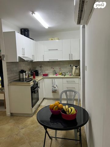 דירה, דוד נוי, מרכז העיר, עכו