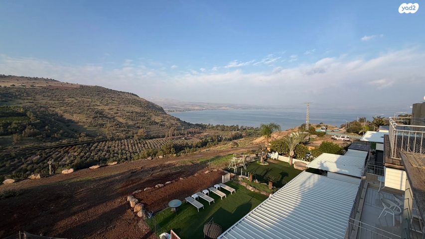 דופלקס, האמהות, טבריה