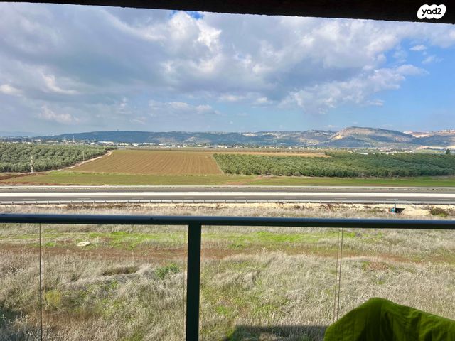 עפולה הצעירה