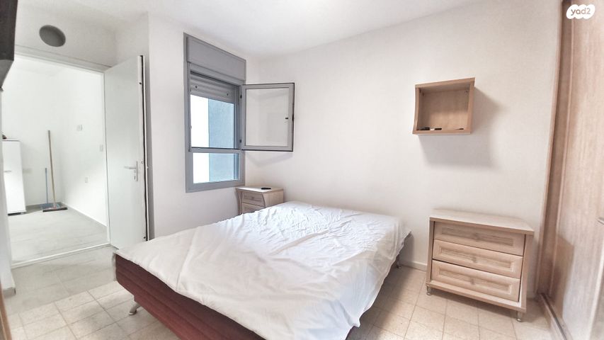 דירה, יהודה לייב פינסקר, רמב"ם, ראשון לציון