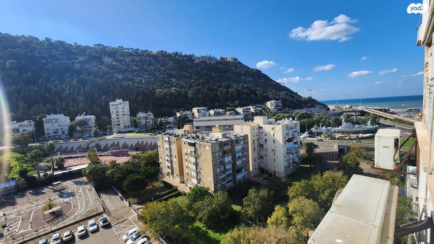 דירה, יואב, קרית אליעזר, חיפה