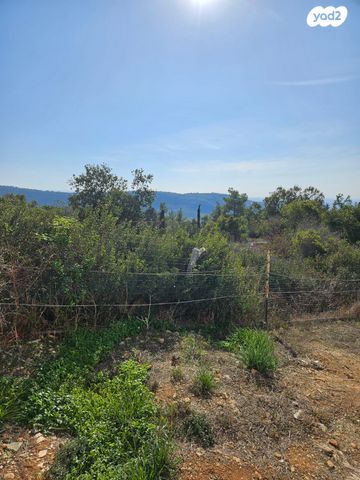 משק חקלאי/ נחלה, כסלון