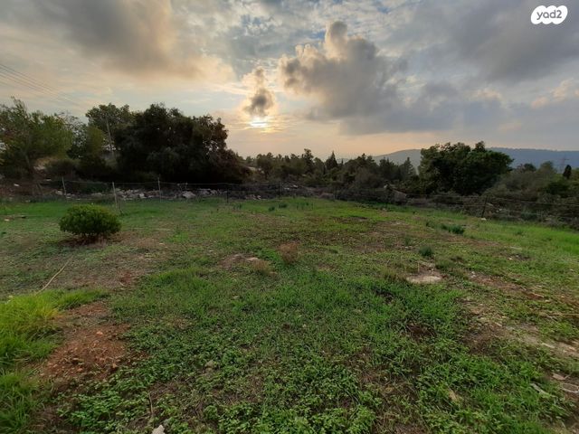 משק חקלאי/ נחלה