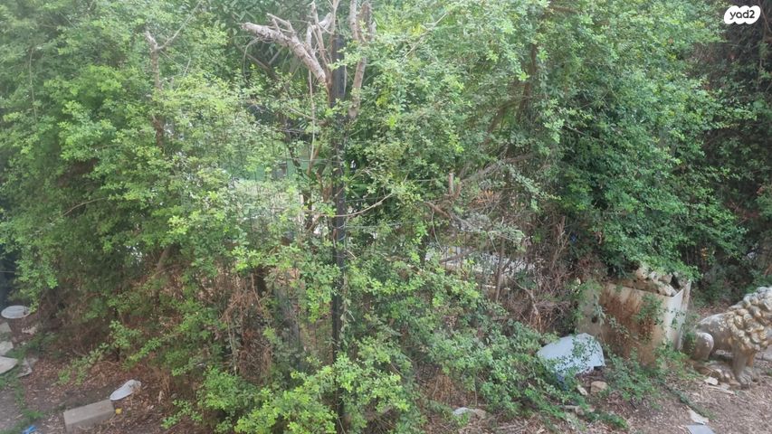 דירה, תל אביב יפו