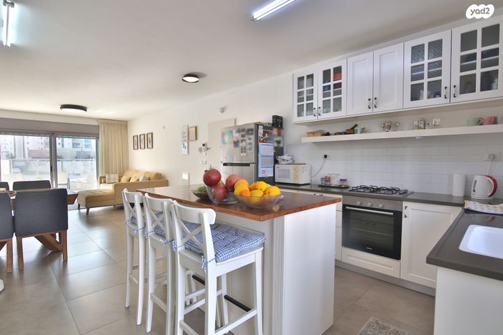 דירה, החותרים, טירת כרמל