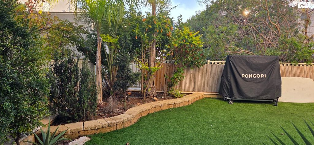 דירת גן, הרב קלישר, זיו, חיפה