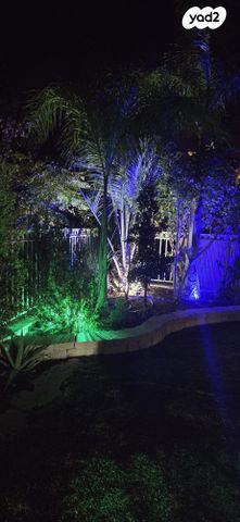 דירת גן, הרב קלישר, זיו, חיפה