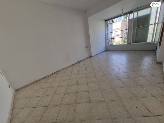 דוד פרנקפורטר 11