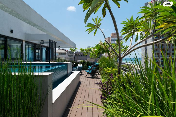 גג/ פנטהאוז, תל אביב יפו