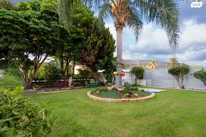 בית פרטי/ קוטג', הזית, יערה, יערה