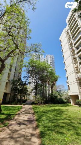 מוריץ דניאל 