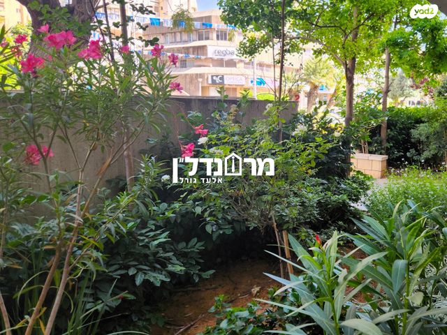 דירה, קרית ויצמן, רעננה