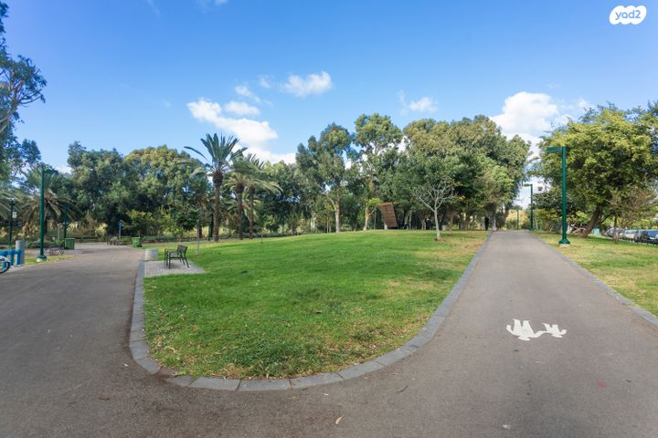 דירה, הרב קוסובסקי, בבלי, תל אביב יפו