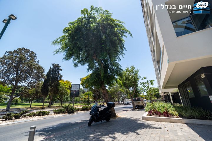 דירת גן, סן מרטין, רמת חן, רמת גן